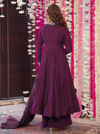 Pravio Aarvika Vichitra embroidered Anarkali kurti set back